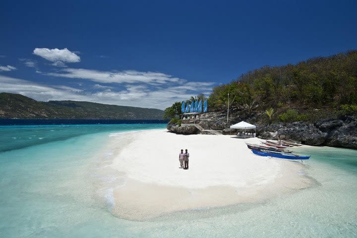 Whale Shark & Tumalog Falls & Sumilon Sandbar & Pescador Island with Sardines image