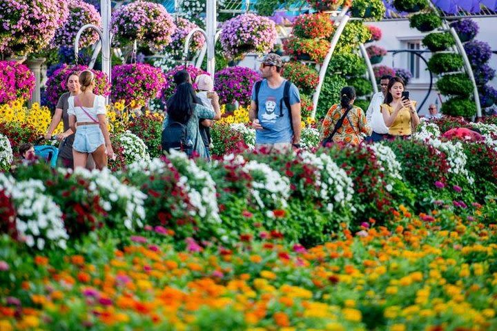 Miracle Garden and Global Village COMBO tour with round trip transfers image