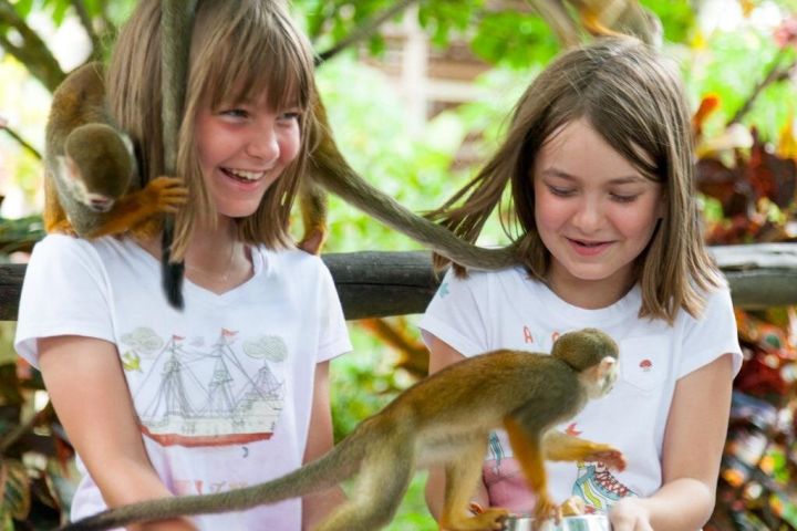 Punta Cana Monkeyland and Zipline Two Adventures in One Day image