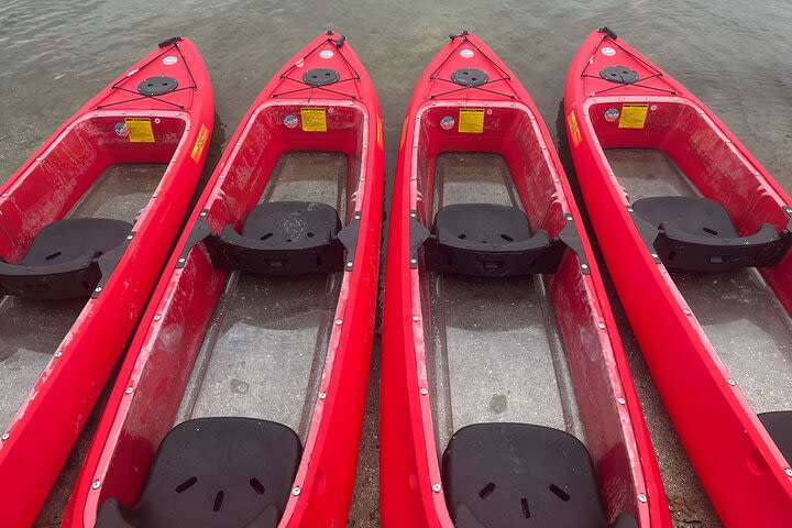 Indian River Clear Bottom Kayak Manatee and Dolphin Tour  image