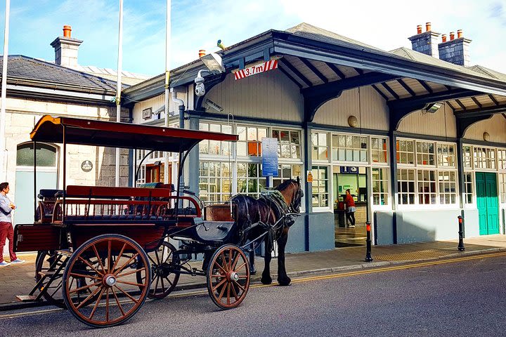 Killarney Jaunting Car Tour with Craft Brewery Beer & Pizza image