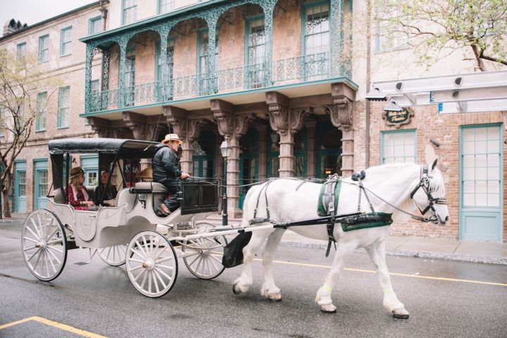 Private Evening Horse-Drawn Carriage Tour of Charleston image