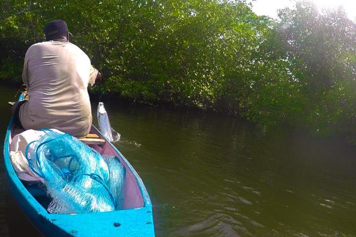 Garifuna Village Ultimate Kayak Fishing & Food Tour image