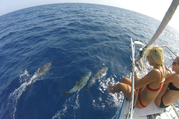 Flounder Yacht Sailing Tours image