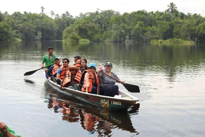 Tours to the Amazon - Jungle For a Day Various Activities All Inclusive image