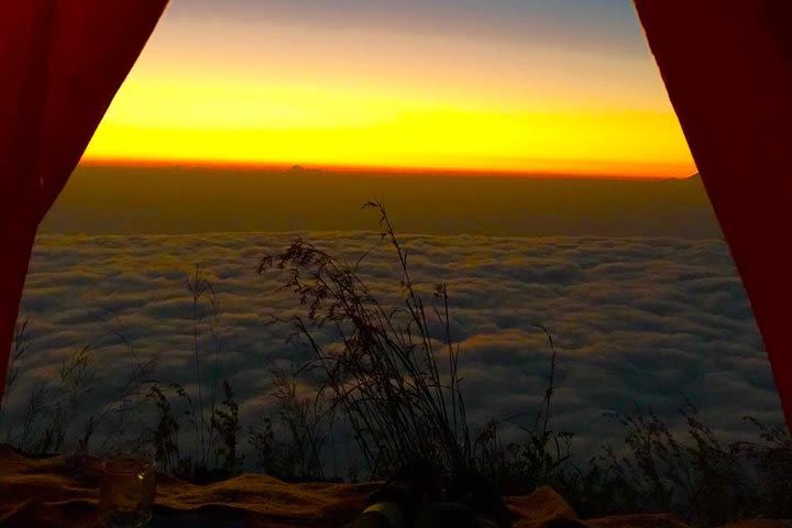 Camping at Summit Mount Batur Sunrise Trekking and Natural Hot Spring image