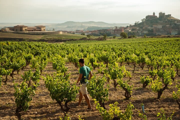 Full-Day Private Cultural and Gastronomic Adventure in Rioja image