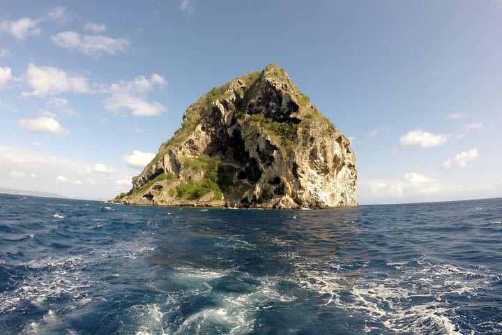 Southern Caribbean Tour: swimming with turtles, bats, Diamond (weather permitting). image