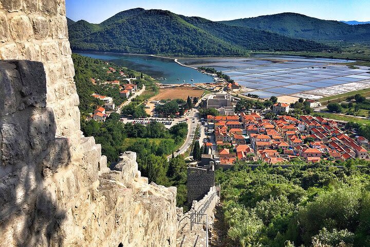 Peljesac Wine & Ston Oysters PRIVATE HALF DAY SHORE TOUR image