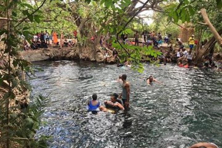 Kikuletwa hot spring, Full Day Tour  image