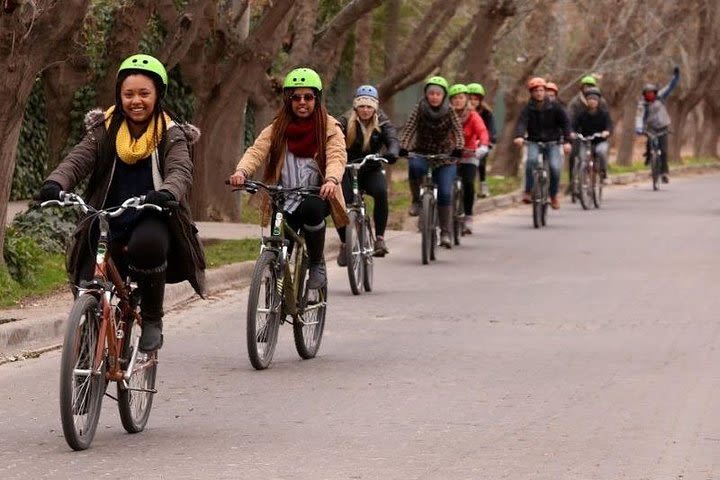 Bike wine tour. Visit 2 of the best wineries  image