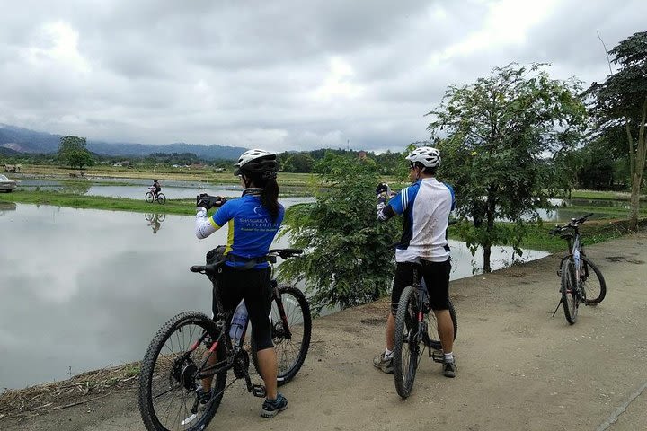 Half Day Cycling Tour to the White temple image