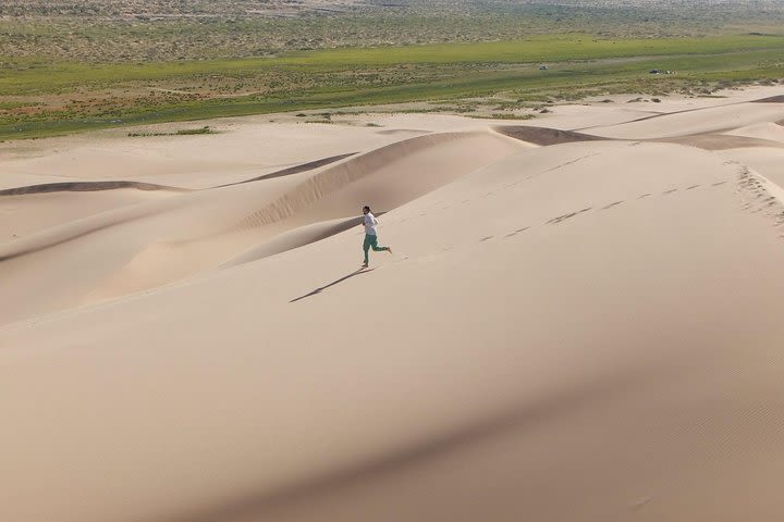 1 Day Semi-Gobi Tour with Lunch And Enjoying Camel or Horseback image