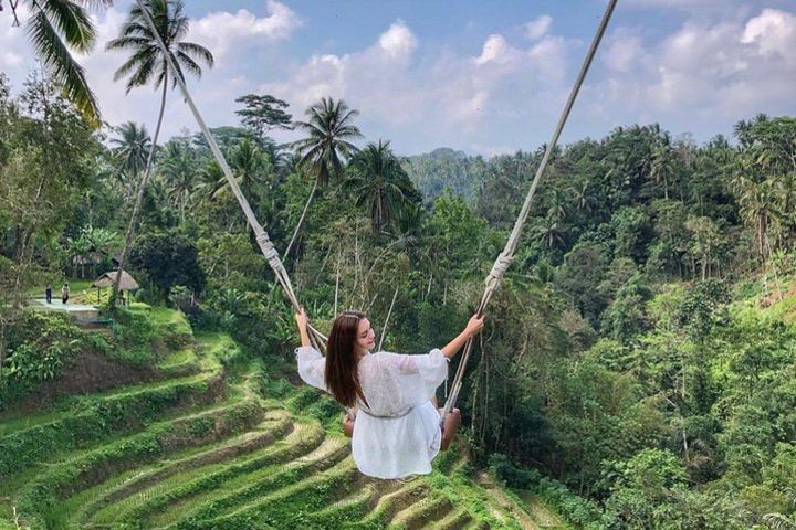 Free Wi- Fi - Ubud Jungle Swing - Monkey Forest - Water Temple - Waterfall image