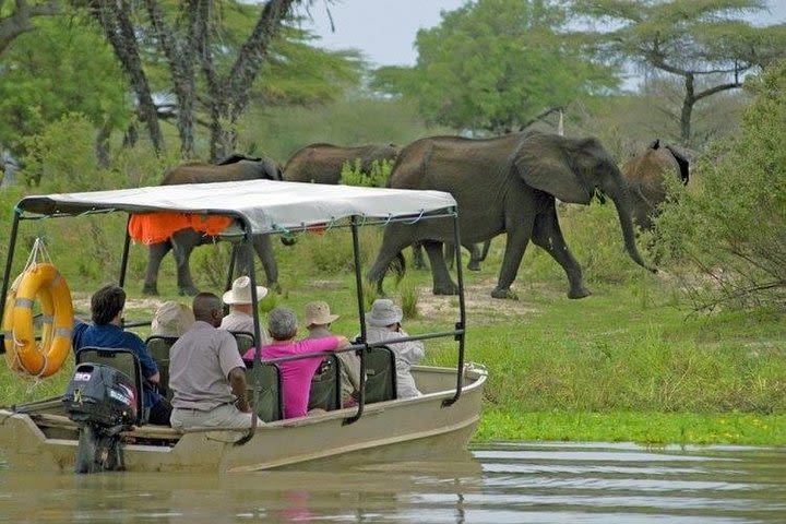 4 Days Mikumi & Nyerere(selous) image