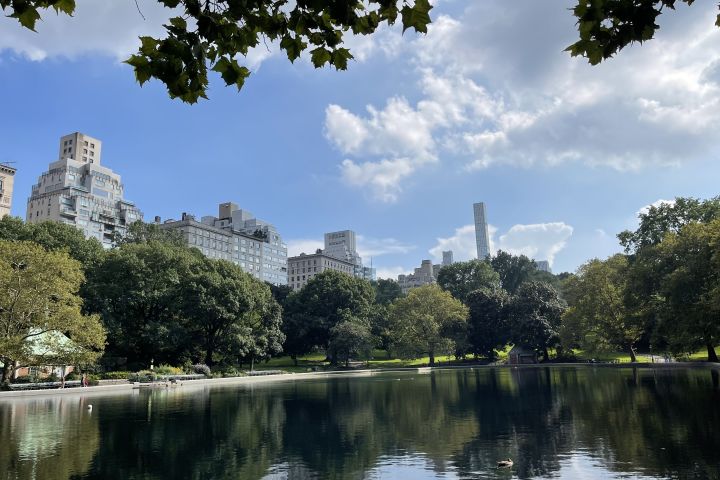 Central Park Walking Tour with Local Guide image