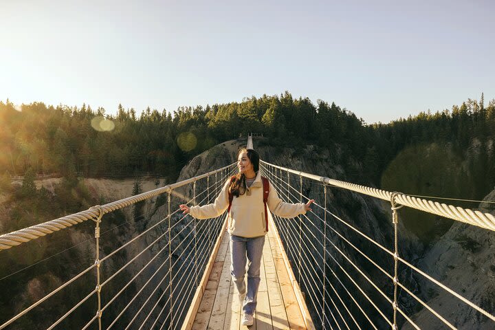 Golden Skybridge Admission image