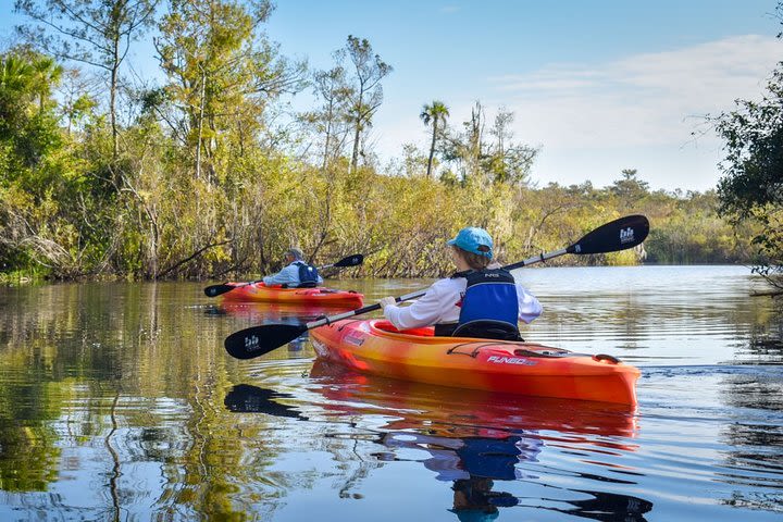 Everglades Guided Kayak Tour image