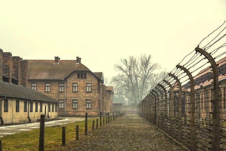 Auschwitz-Birkenau guided tour from Krakow image
