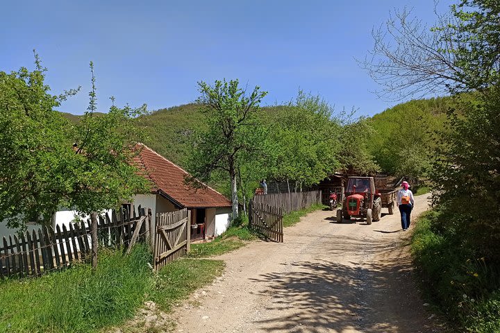 Hiking Tour in Djalovica Gorge and Monastery of St. Nicholas in Podvrh image