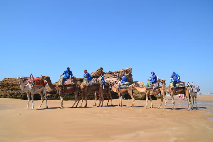Essaouira: 4-hour ride on the back of Dromedary with meal. image