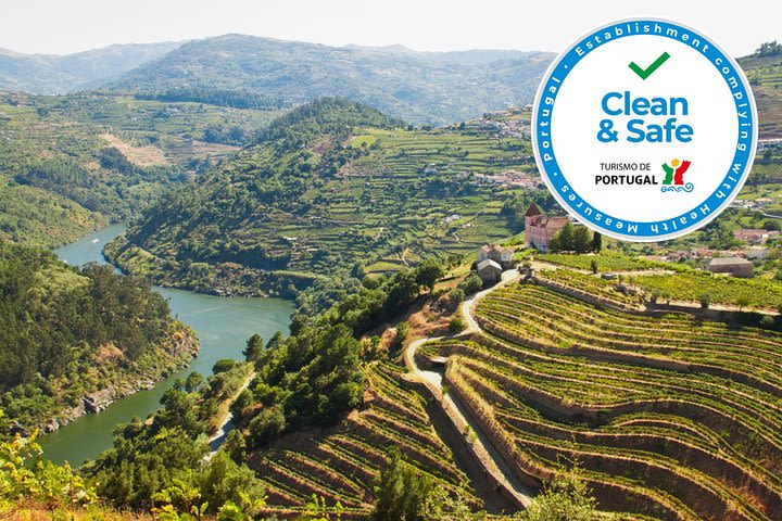 Full Day Douro Valley Shuttle Tour with Lunch and Wine Tasting from Porto image