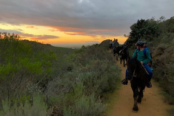 Evening & Moonlight Horse Trail image