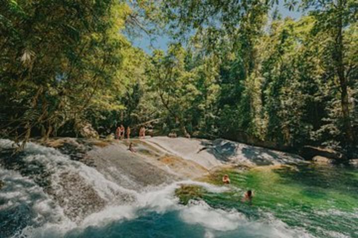 Atherton Tablelands Waterfalls and Rainforest Day Tour Departing Cairns image