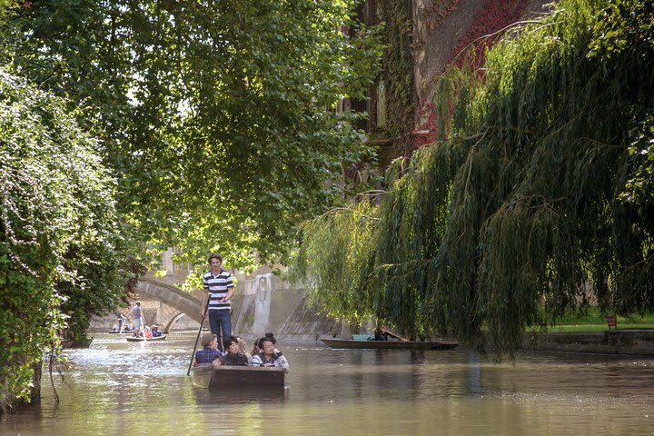 Small-Group Guided Punting Tour of Cambridge image