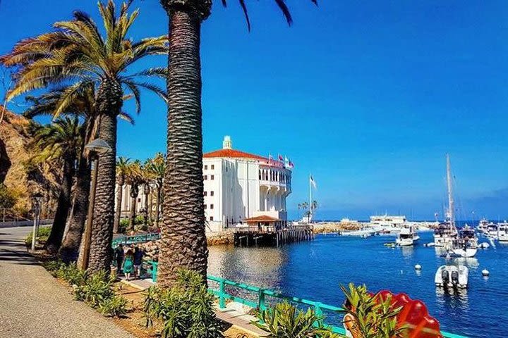 Discover the Catalina Island Casino image