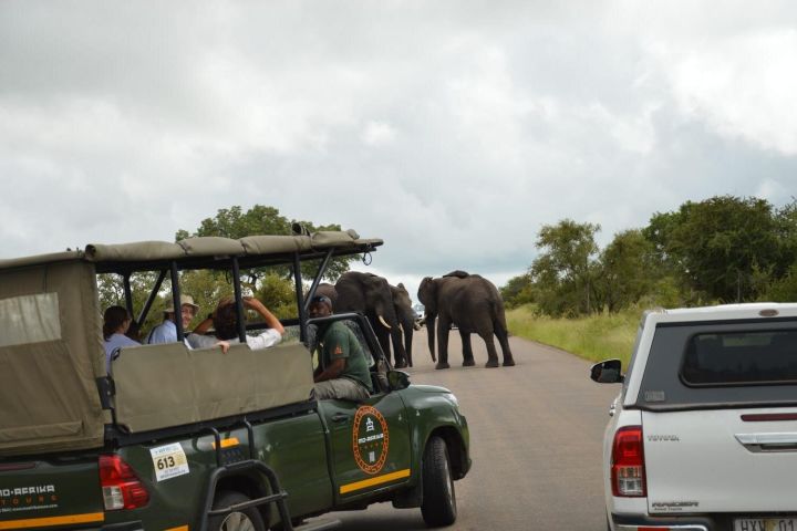 Pilanesberg Shared Transfer and 3-Hour Safari image