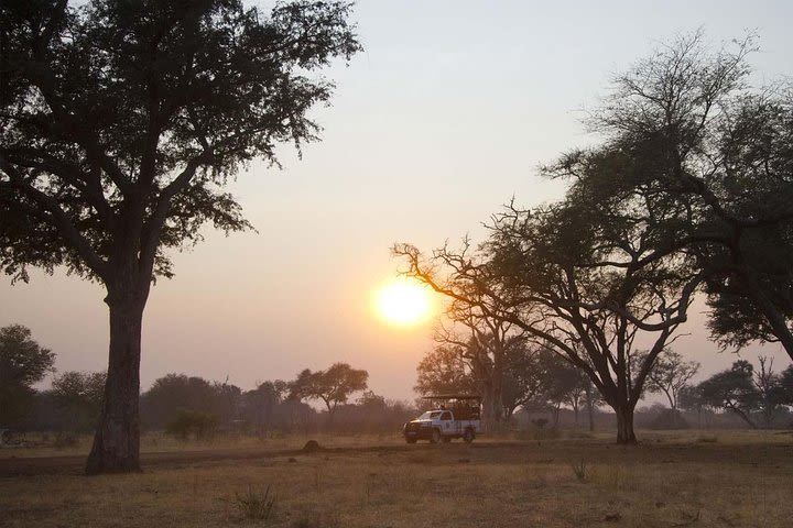 Game Drive in Mosi-Oa-Tunya National Park image