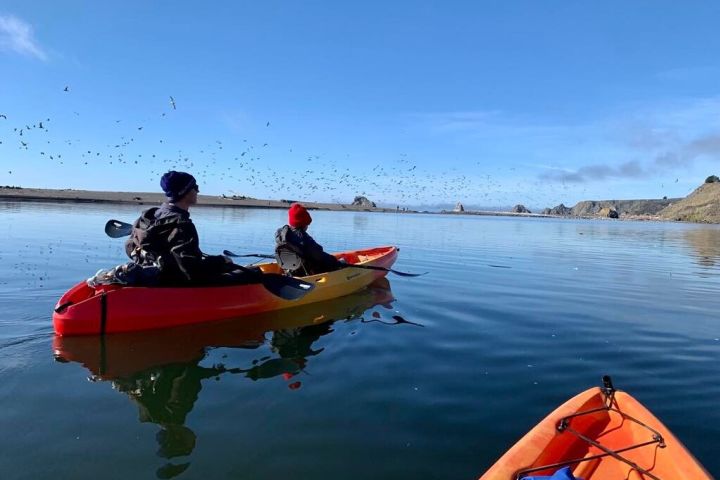 Russian River Kayak Tour at the Beautiful Sonoma Coast image