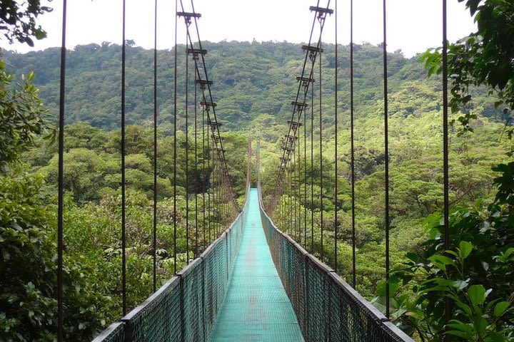 Hanging bridges over the clouds in Monteverde from San José image