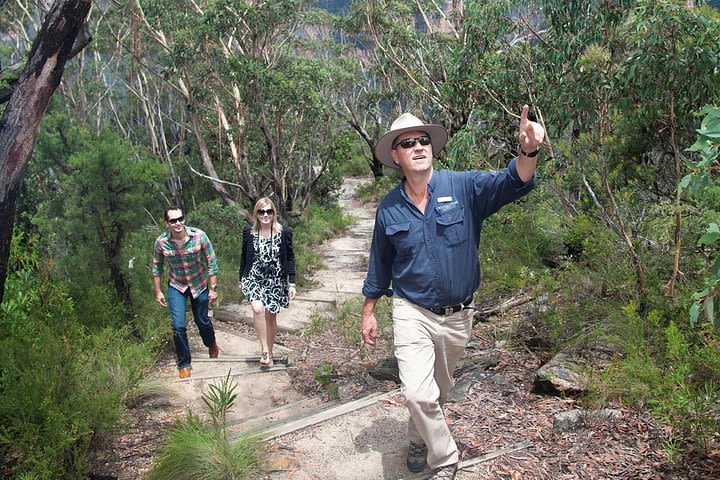 Small-Group Blue Mountains Tour with Bush Walks and Featherdale Wildlife Park image