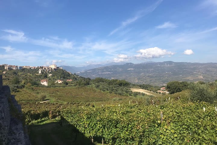 Torrecuso and Sant'Agata dei Goti: ancient vines and authentic local experiences image