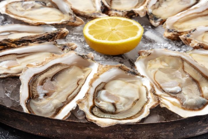 Halifax Harbourfront Food Walking Tour image