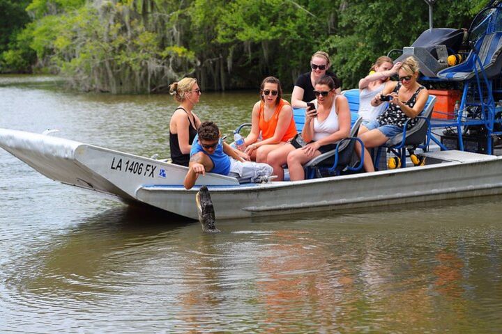 Small-Group Swamp Tour by Airboat with Downtown New Orleans Pickup image