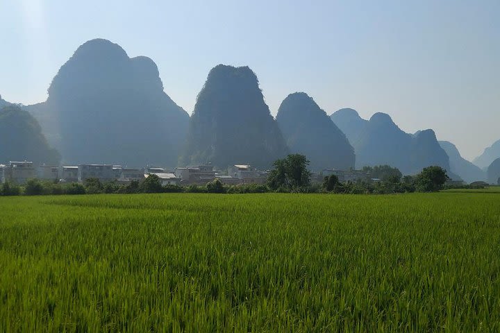 4 Day: Yangshuo and Guilin Private Tour from Yangshuo (with Hotel Pickup) image