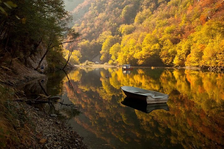 Tara Park, Wood City, Studenica Monastery, Uvac Canyon, Novi Sad, 5 Day Tour image