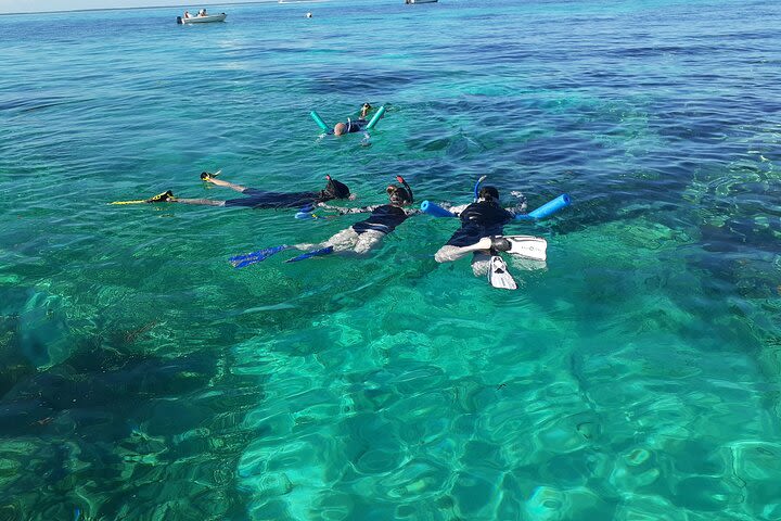 2.5-Hour Private Snorkeling Sunset in Key Largo image