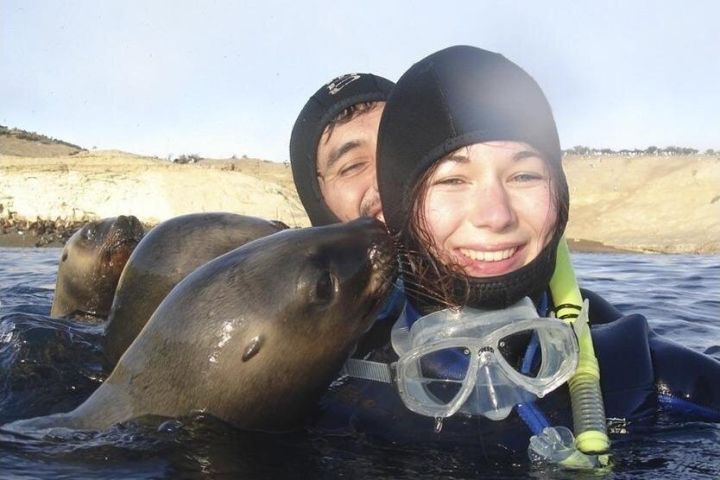 Snorkeling with Sea Lions in Puerto Madryn image