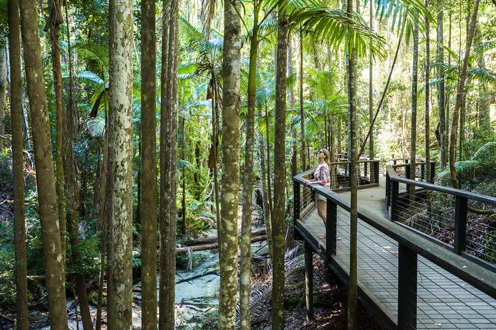 All-Inclusive Fraser Island Day Tour image