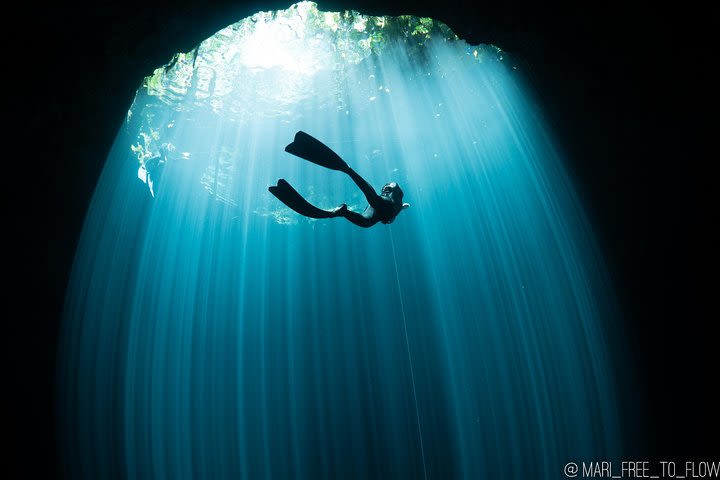 Try Freediving image