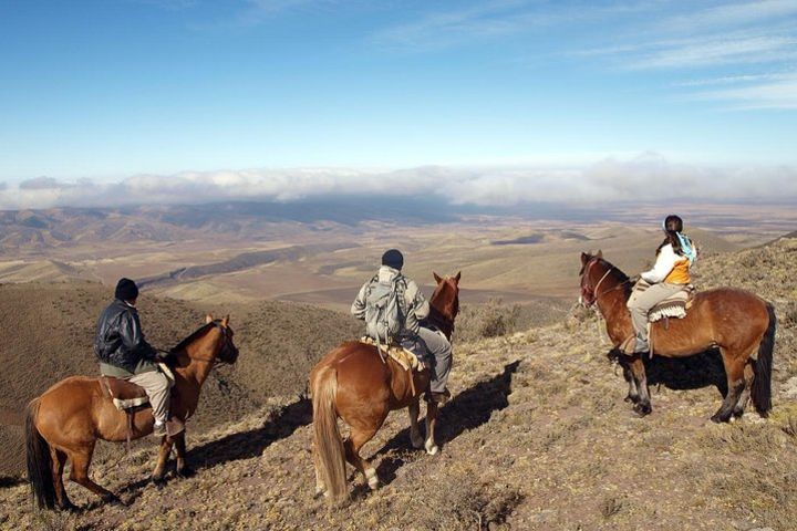 Mendoza Horseback Riding Tour with Traditional Argentine Asado image