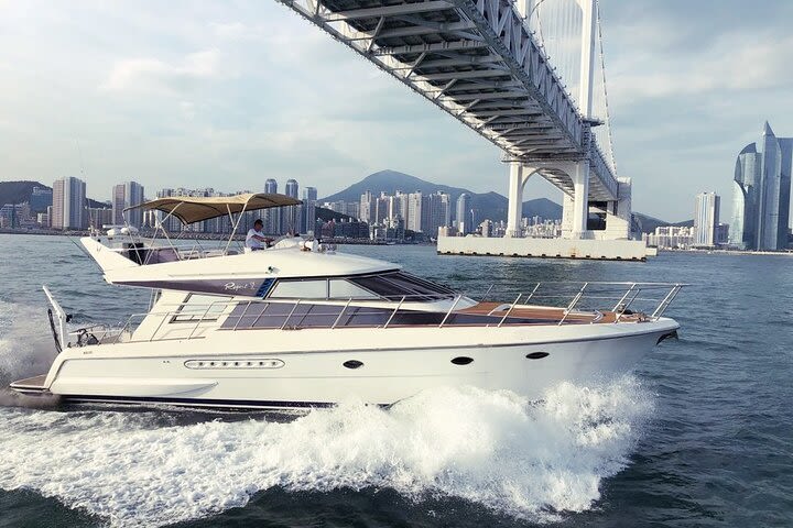 Private Guided Sightseeing Yacht Tour of Busan Sea image