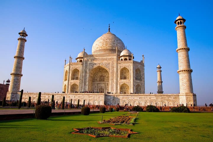 Private Tour: Taj Mahal Sunrise and Agra Fort Day Tour from Delhi image