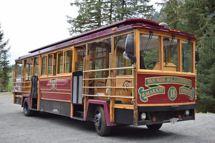 Totems, City & Wildlife by Cable Car Trolley image