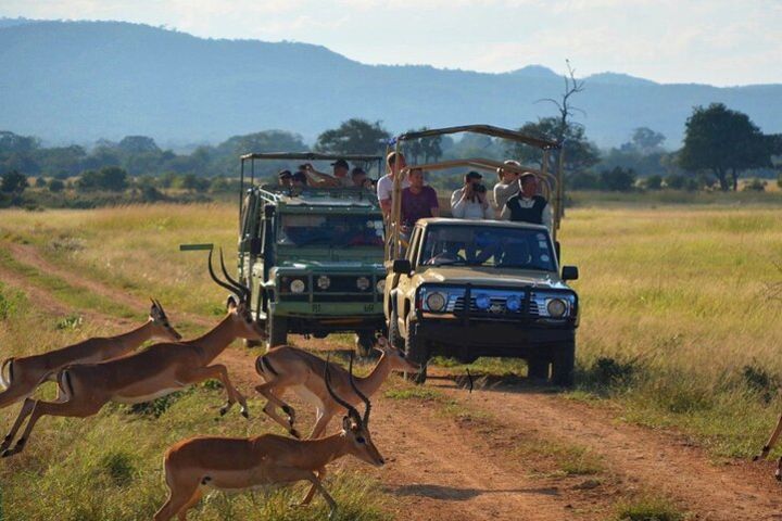 Isimangaliso Wetland & Hluhluwe Imfolozi Game Reserve 3 Day Tour From Durban image