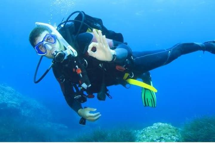 Beginner Scuba Diving Course with Lunch in Cozumel image